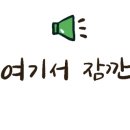 비플스 이미지