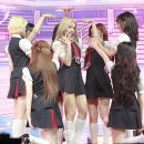 유니스 티스토리