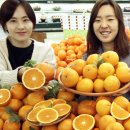 오렌지 - 아산시 온천대로 1336 | 오렌지