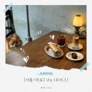 우이산장 | [서울/마포] 망원동 애견동반 카페 신상 산장 감성 '우이그' 솔직 후기 (모리와 함께 다녀왔어요!)