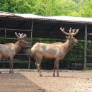 성록농장 이미지