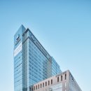 성모동물병원 네이버블로그