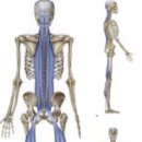 뉴로드짐 이미지