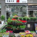 영플라워 - 김포시 중봉1로 10 | 영플라워