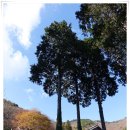 호구산 백련암 이미지