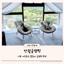 이쁜 똥강아지 | 강아지와 가는 가평 풀빌라글램핑 만월글램핑 애견동반 방문 후기