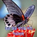 에스겔 36 장35절~사람이 이르기를 이 땅이 황무하더니 이제는 에덴동산 같이 되었고 황량하고 적막하고 무너진 성읍들에 성벽과 거민이 이미지