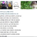 R보양보양맘 돌봄 실버케어 보양융복합경제 이미지