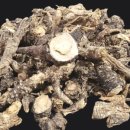 대한건재 이미지