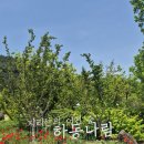 [경남/하동여행] 북천 양귀비·코스모스 축제와 함께 가기 좋은 가족여행 코스(하동나림생태공원...