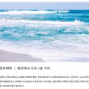 스카리아 | 강릉 스카리아풀빌라 2026 완벽 가이드: 강문해변 오션뷰, 4만원 미온수 풀빌라의 진짜 가치 분석