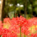 신구대학교 이미지