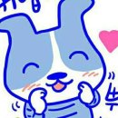 산약초 동의보감 이미지