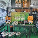 정골프피팅 이미지