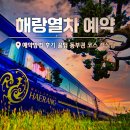 해랑가랑 | 해랑열차 예약방법 가격 패밀리룸 동부권 코스 내돈내산 후기