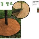 코코트리 이미지