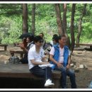 용오름산장 Daum카페