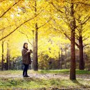 은행나무목장 이미지