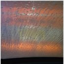 카스파타운 | 운정세차장 운정카스파 워시타운에서의 첫 세차 경험!