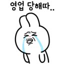 올라메히꼬 이미지