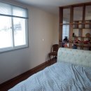 레스빠스 이미지