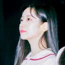 다현기획 이미지