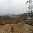 도리재농장 티스토리