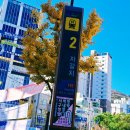 충무동 골목시장 앞 이미지