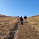 이룸 행정사 사무소 이미지