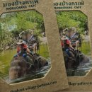 큰개마을 | 파타야 코끼리마을 후기 l 태국 파타야 필수 코스 코끼리 타기 체험 추천