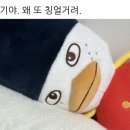 둘셋 이미지