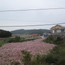 북천천 이미지