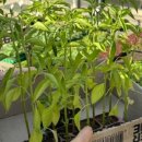 그린농자재마트 이미지