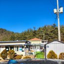 하조대 에코하임 사계절 온수풀 앤 스파펜션 이미지