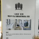 쓰리이어