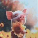 노걸대 감자탕, 순대국, 가마삼겹 이미지