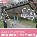 옥정체육공원 농구장 | 아이도 강아지도 OK! 독바위공원 유아숲체험원 + 반려견 놀이터