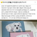 엔비디엠
