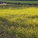 소기왓민박 이미지