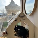 프리멍 | 김해 멍프리 애견카페 내돈내산 후기