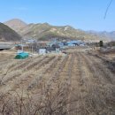 도원농원 이미지