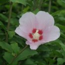 무극전적국민관광지 이미지