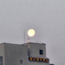 클린히트복싱 소사벌점 이미지