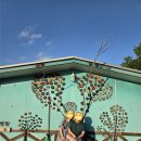 평창힐링스테이 | 강아지와 함께 다녀온 평창 힐링스테이 펜션 후기 🐶🌲