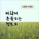 바람에 흔들리는 청보리 / 노중하 수필집 (전자책) 이미지