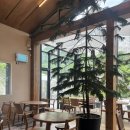 카페수이 | [경기광주/카페수샤]11개월 아이와 함께 경기광주브런치카페 내돈내산 후기