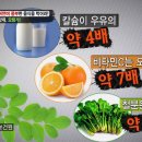 모링가 이미지