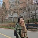 김기자