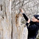 뮤직리조트 이미지