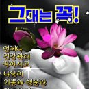 건강한삶을 사는30가지지혜 이미지